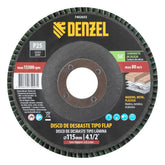 Disco Flap Desbaste Carbeto De Silício Grão 24 115 X 22,2 Mm Denzel 7402655