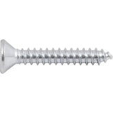 Parafuso Autoatarraxante 3,9x25 Phillips c/ 20 peças Vonder