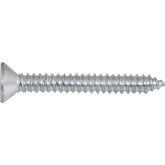 Parafuso Autoatarraxante 6,3x50,0mm Phillips 10 peças Vonder