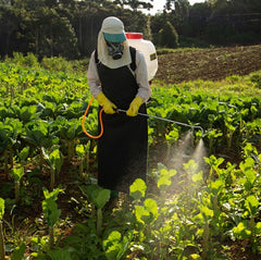 Pulverizador Costal 25,4cc 1 Lança 25L TS26BX  Toyama