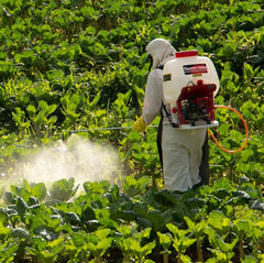 Pulverizador Costal 25,4cc 1 Lança 25L TS26BX  Toyama