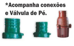Motobomba Diesel Centrífuga 2.1/2X2'' 7CV P Elétrica Buffalo