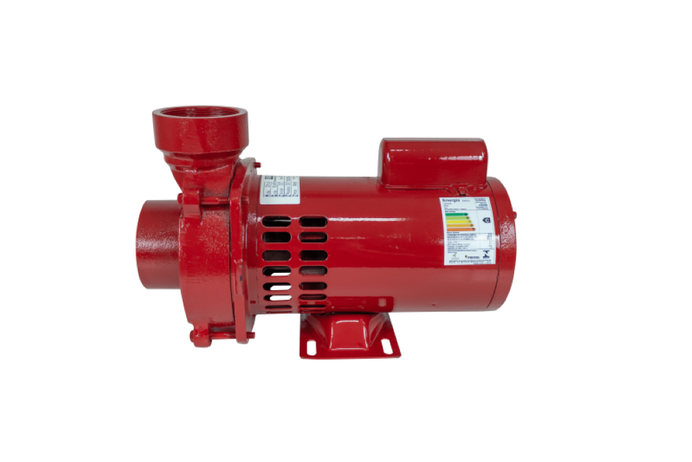 Motobomba Incêndio 1,5cv 60Hz Monofásico 110/220V ECS-150IN Eletroplas