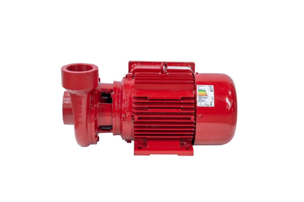 Motobomba Incêndio 12,5cv 60Hz Trifásico 220/380V ECS-1250IN Eletroplas