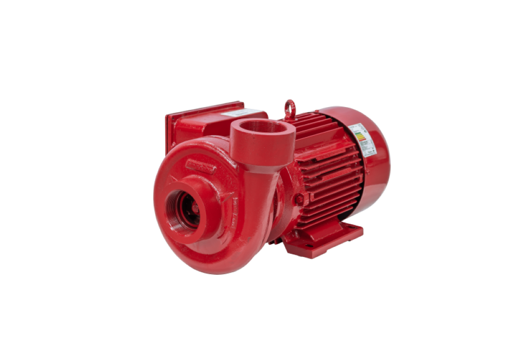 Motobomba Incêndio 7,5cv 60Hz Trifásico 220/380V ECS-750IN Eletroplas