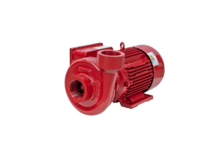 Motobomba Incêndio 7,5cv 60Hz Trifásico 220/380V ECS-750IN Eletroplas