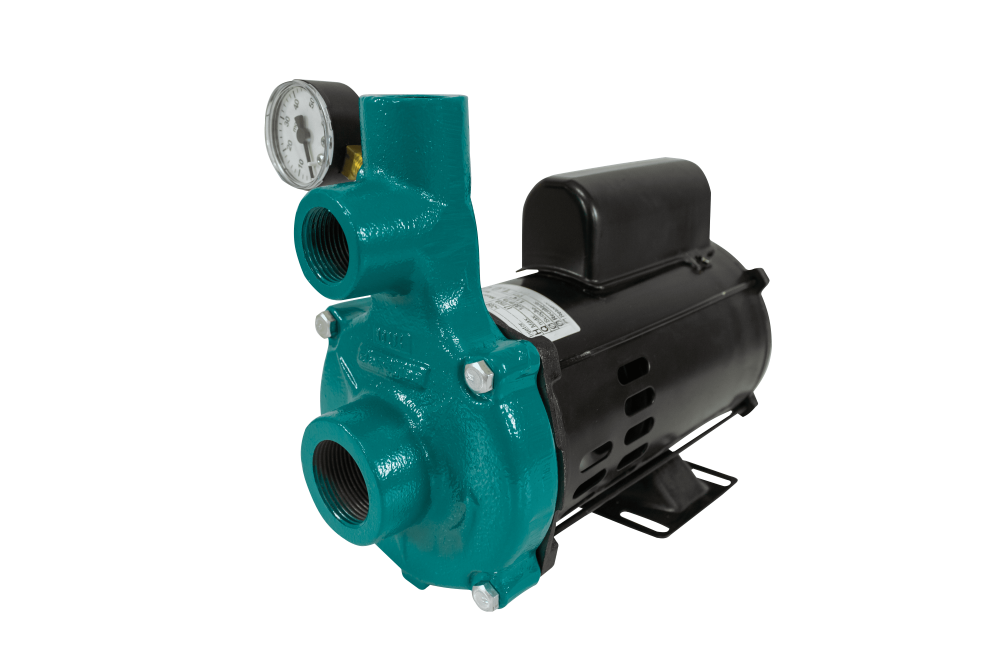 Motobomba Injetora 3/4cv 110/220V I-209 ECI-75M Eletroplas
