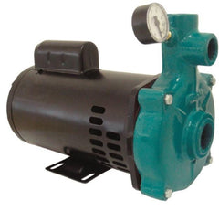 Motobomba Injetora 2cv 110/220V I-213 ECI-200VM Eletroplas