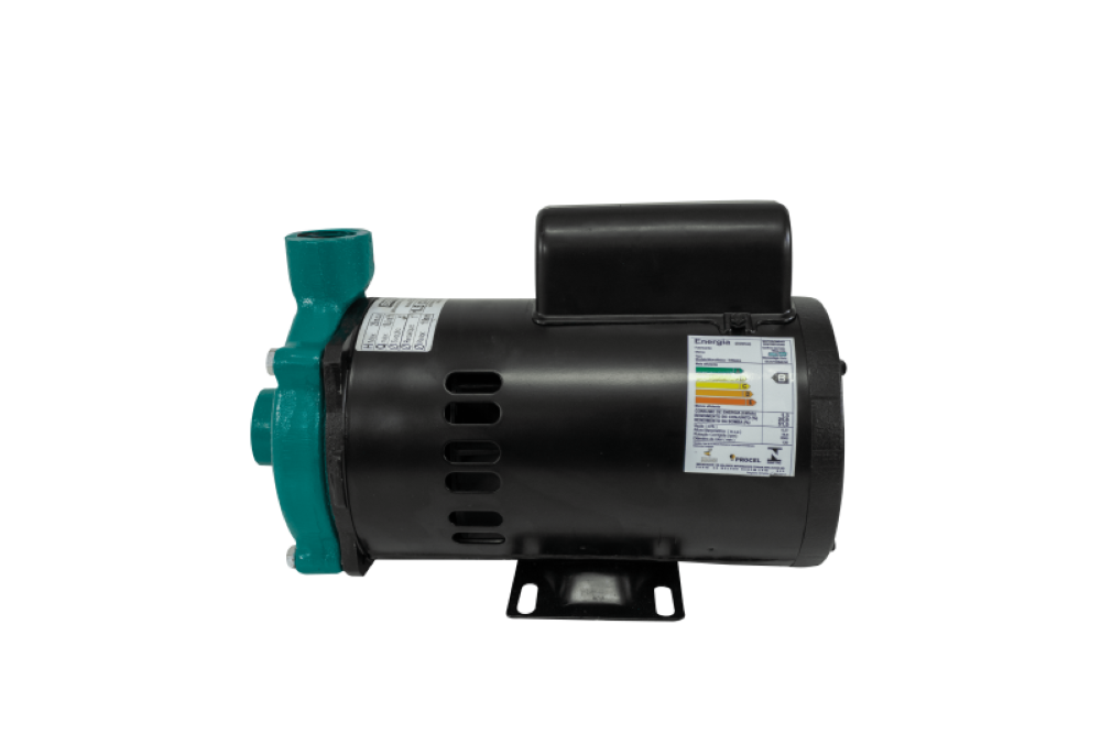 Motobomba Standard 1.5cv 60Hz 110/220V ECS-150ME Eletroplas