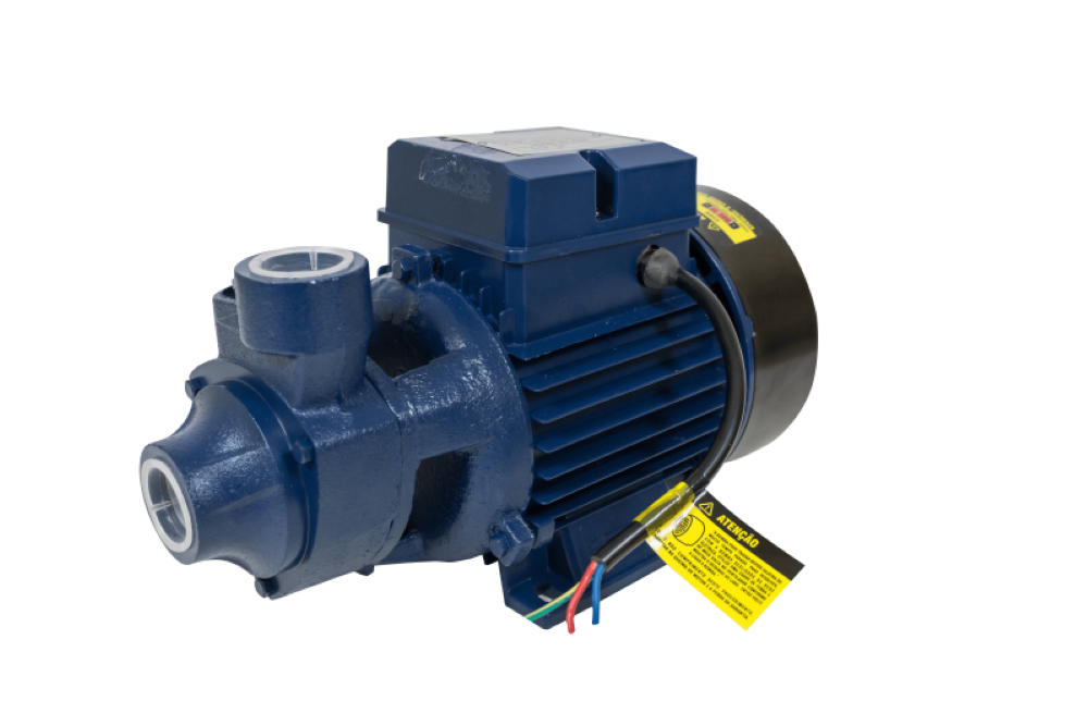 Motobomba Periférica 1cv 60Hz Bivolt ICS-100AB Eletroplas