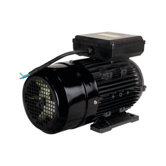 Motor Elétrico 3CV  1748RPM Monofásico Bivolt 127/220V 60Hz Com 4 Pólos IP55 YL100L1-4 Lynus
