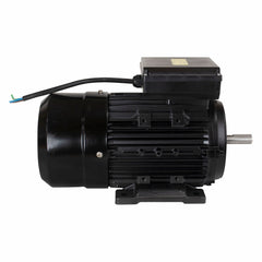 Motor Elétrico 3CV  1748RPM Monofásico Bivolt 127/220V 60Hz Com 4 Pólos IP55 YL100L1-4 Lynus