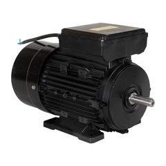 Motor Elétrico 3CV  1748RPM Monofásico Bivolt 127/220V 60Hz Com 4 Pólos IP55 YL100L1-4 Lynus
