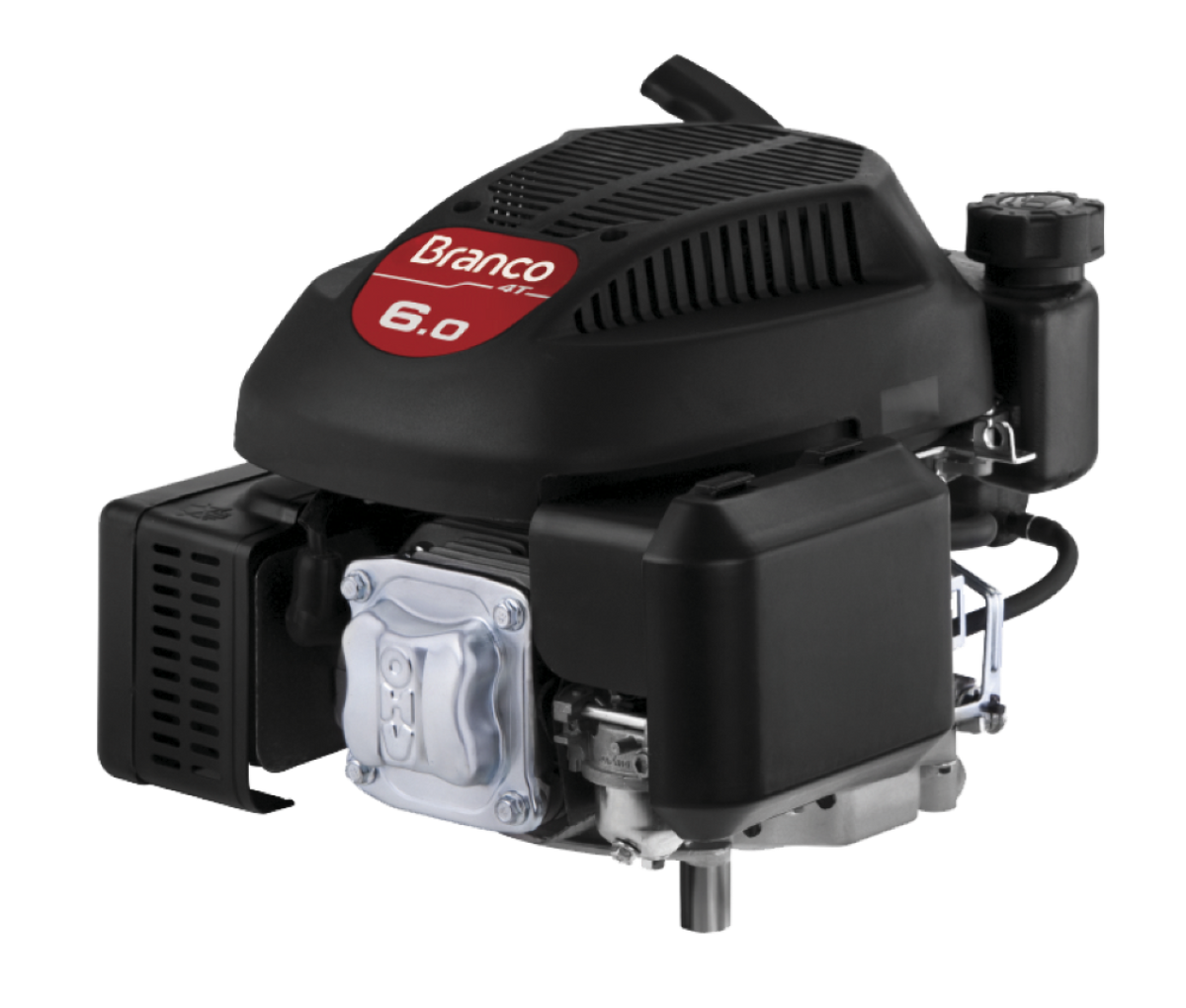 Motor Gasolina 4T 6,0CV Vertical B4T-6.0 VG3 Branco