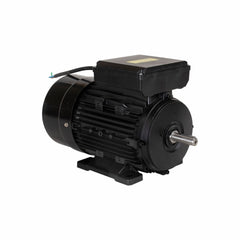 Motor Elétrico de 2CV 127/220V 60Hz 3454 RPM Bivolt Com 2 Pólos e Proteção IP55 YL90S-2 Lynus