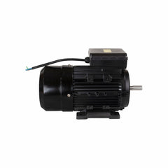 Motor Elétrico de 2CV 127/220V 60Hz 3454 RPM Bivolt Com 2 Pólos e Proteção IP55 YL90S-2 Lynus