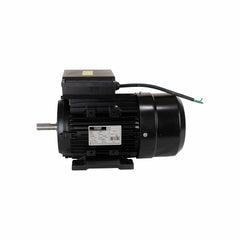 Motor Elétrico de 2CV 127/220V 60Hz 3454 RPM Bivolt Com 2 Pólos e Proteção IP55 YL90S-2 Lynus