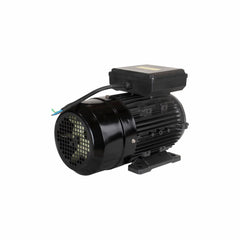 Motor Elétrico de 2CV 127/220V 60Hz 3454 RPM Bivolt Com 2 Pólos e Proteção IP55 YL90S-2 Lynus