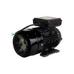 Motor Elétrico de 2CV 127/220V  60Hz 1737 RPM Bivolt Com 4 Pólos e Proteção IP55 YL90L-4 Lynus