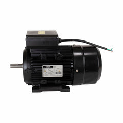 Motor Elétrico de 2CV 127/220V  60Hz 1737 RPM Bivolt Com 4 Pólos e Proteção IP55 YL90L-4 Lynus