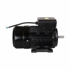 Motor Elétrico de 2CV 127/220V  60Hz 1737 RPM Bivolt Com 4 Pólos e Proteção IP55 YL90L-4 Lynus