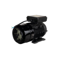 Motor Elétrico de 3CV 127-220V  60Hz 2P IP44 YL90L-2 Lynus