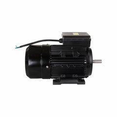 Motor Elétrico de 3CV 127-220V  60Hz 2P IP44 YL90L-2 Lynus