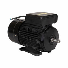 Motor Elétrico de 3CV 127-220V  60Hz 2P IP44 YL90L-2 Lynus