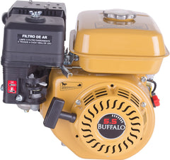 Motor Gasolina Buffalo 5,5CV 163cc 4T Partida Manual 60500