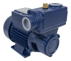 Motobomba Periférica Autoaspirante 1/2HP 60Hz Bivolt ICA-50AB Eletroplas
