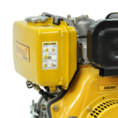 Motor Diesel BFDE 13 CV Partida Elétrica Buffalo