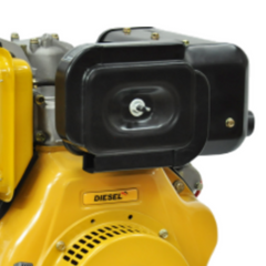 Motor Diesel BFDE 13 CV Partida Elétrica Buffalo
