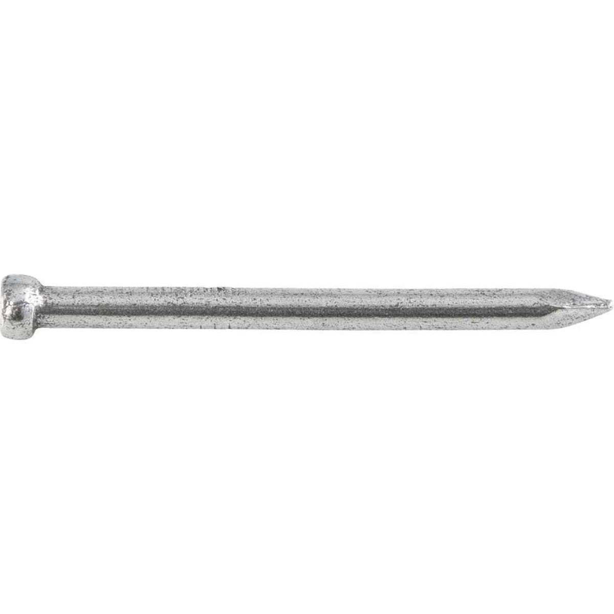 Prego sem Cabeça 15 x 15 (1,1/4 x 13) Polido 1 Kg Vonder - Guimepa