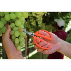 Tesoura Para Frutas Tramontina Aço Inox Lâminas Temperadas 5mm