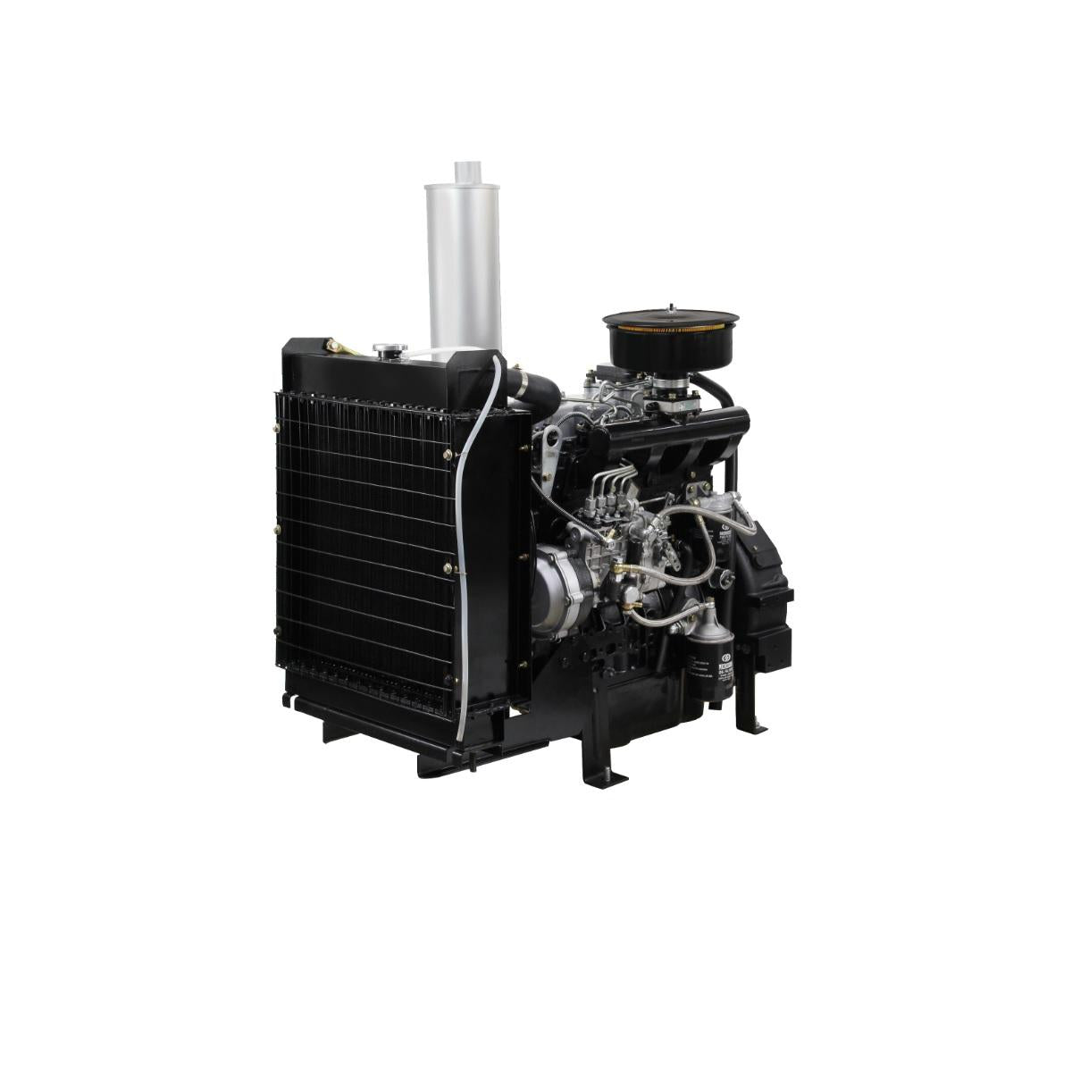 Motor BFDE 495 68CV-3000 RPM 4 Cilindros Buffalo