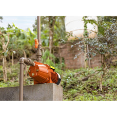 Bomba D'água Autoaspirante 0.5HP 2700L/h 127V/220V Tramontina BTA05 Ideal Irrigação