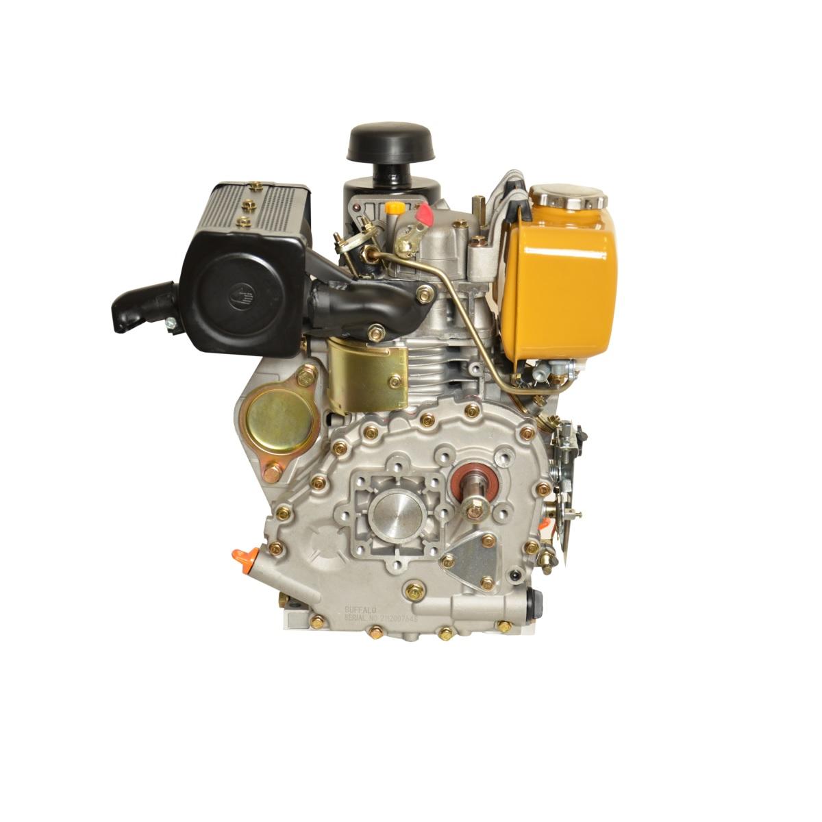 Motor BFD 5 CV Partida Manual com Redutor 70503 Buffalo