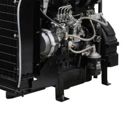 Motor BFDE 495 68CV-3000 RPM 4 Cilindros Buffalo