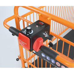 Carrinho Tipo Plataforma 400KG Motorizado a Bateria 24V BRUTUS C48M Beta