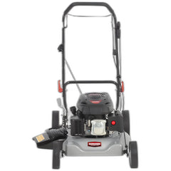 Cortador de Grama Gasolina 7,5Hp 4T Lr200H 2 Em 1 Gv750 Kawashima