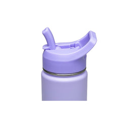 Garrafa Térmica Tramontina 650 Ml Aço Revestido Lilás Com Canudo E Parede Dupla