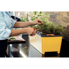 Tesoura Para Frutas Tramontina Aço Inox Lâminas Temperadas 5mm