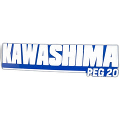 Pulverizador Costal 20L Eletrico Peg-20 Kawashima