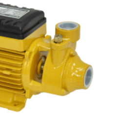 Bomba Elétrica Periférica BFP 60 Mono Bivolt Buffalo 80370