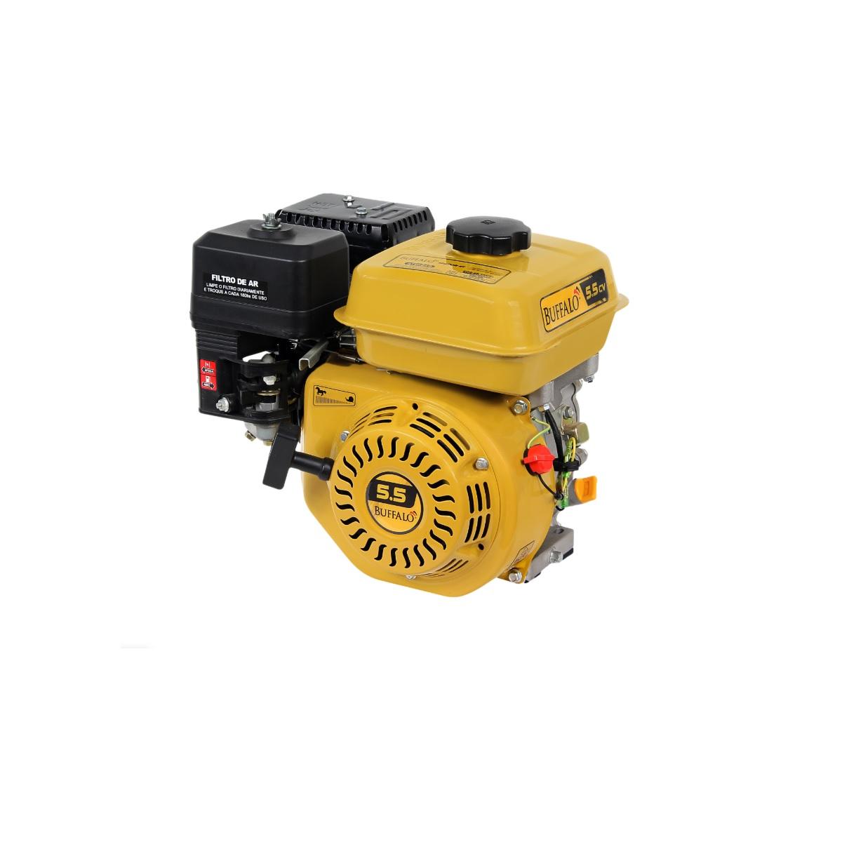 Motor BFG 5,5 CV Gasolina 4 T Partida Manual Buffalo
