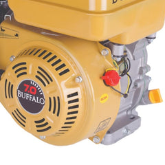 Motor BFG 7,0CV Partida Manual Buffalo