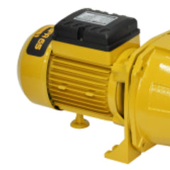Bomba Elétrica Auto Aspirante BFA 65-FE Bivolt Buffalo 80380