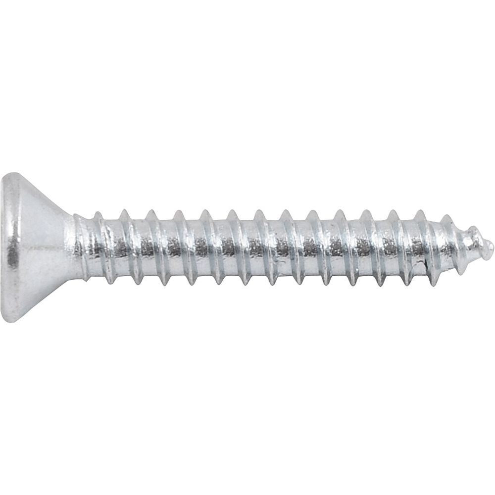 Parafuso Autoatarraxante 3,9x25 Phillips c/ 20 peças Vonder