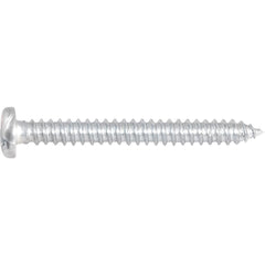 Parafuso Autoatarraxante 4,2x38,0mm c/ 10 peças Vonder