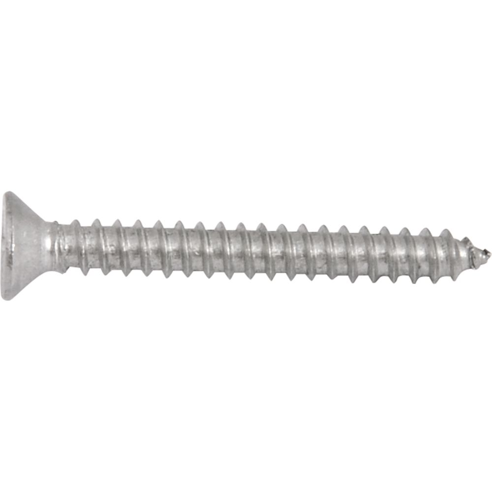 Parafuso tarraxante Inox 3,9x32,0mm Phillips 10 pçs Vonder